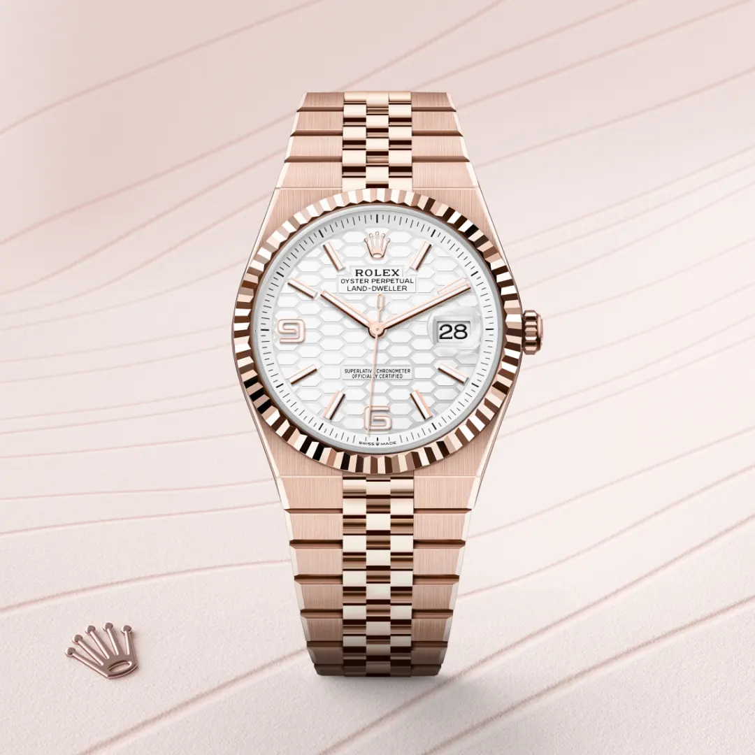 Rolex Land-Dweller 36 Intense White - view 3
