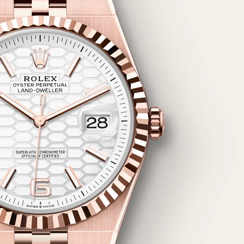 Rolex Land-Dweller 40 Intense White - view 4