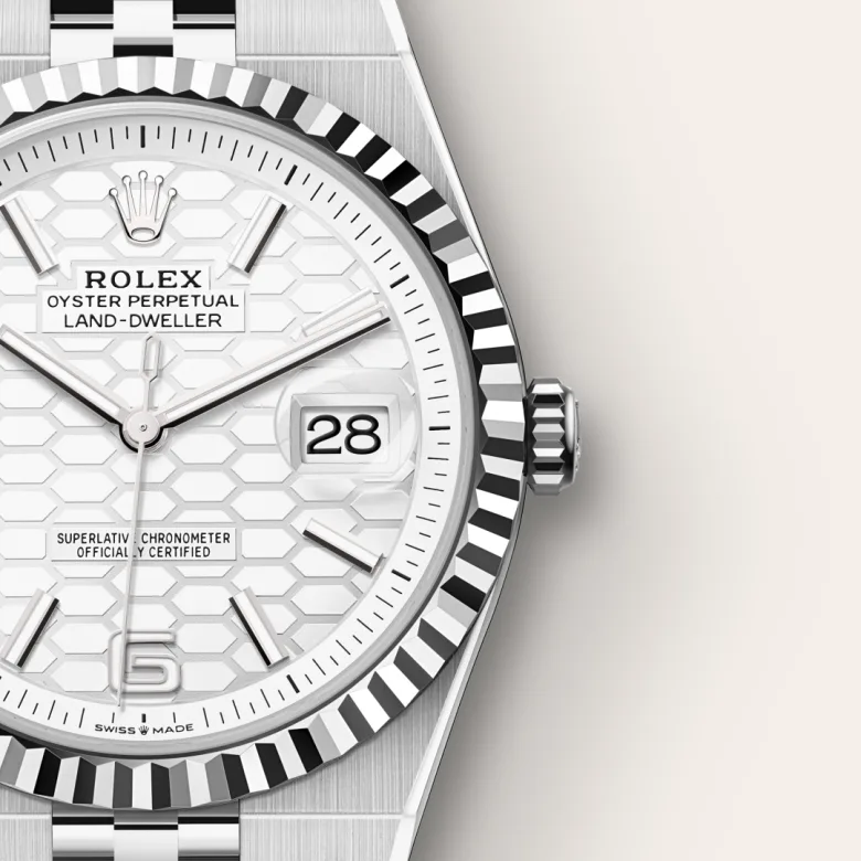 Rolex Land-Dweller 40 White Gold - view 4